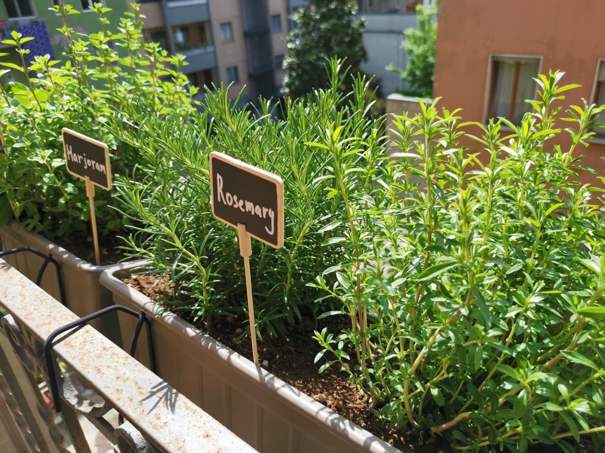 מילאנו Spacious Apartment 50 Meters From The Metro מראה חיצוני תמונה